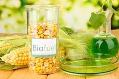 Denton Holme biofuel availability